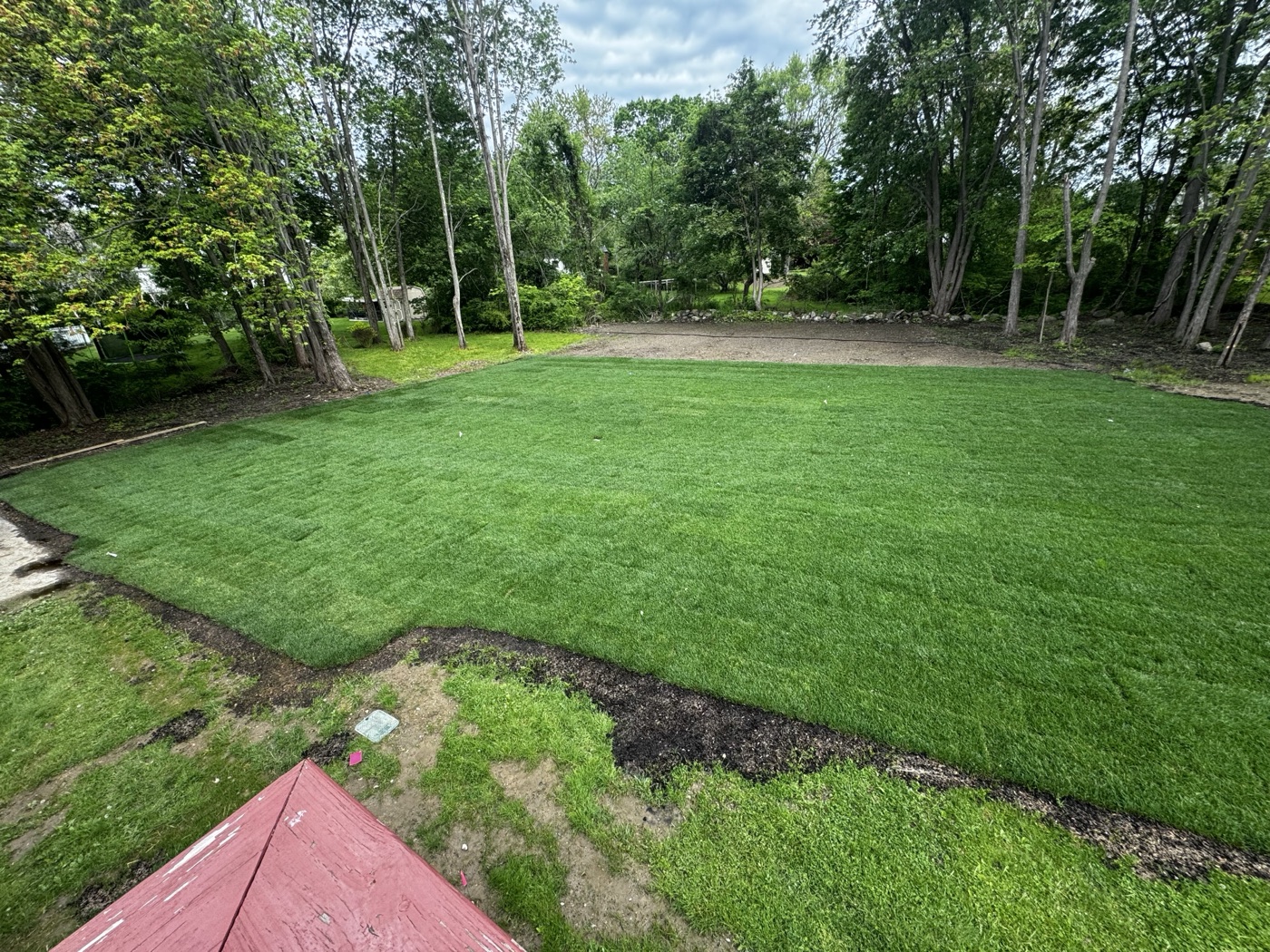After: fresh sod installed across entire rear yard
