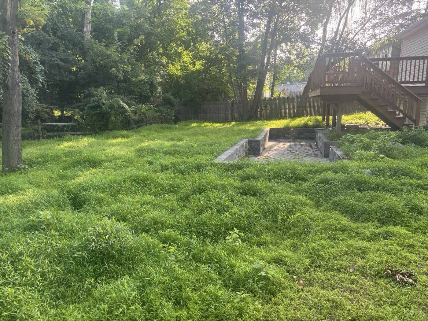 Before: overgrown rear yard with no patio