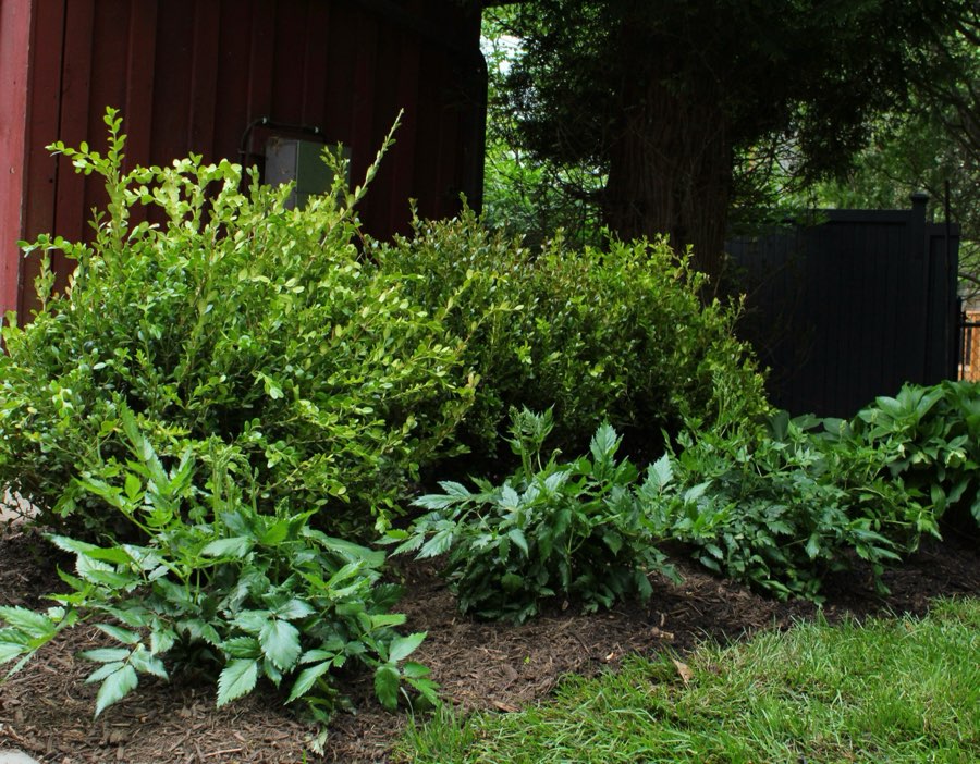 Planting and installation by LRC Landscaping